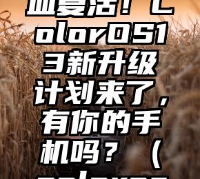 老机型满血复活！ColorOS13新升级计划来了，有你的手机吗？（coloros升级名单）