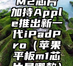 M2芯片加持Apple推出新一代iPadPro（苹果平板m1芯片是哪款）