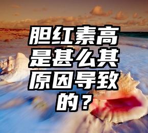 胆红素高是甚么其原因导致的？