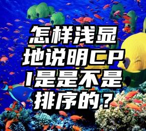 怎样浅显地说明CPI是是不是排序的？