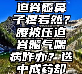 颈椎被压迫脊髓鼻子疼若然？腰被压迫脊髓气喘病咋办？选中成药却是止痛剂