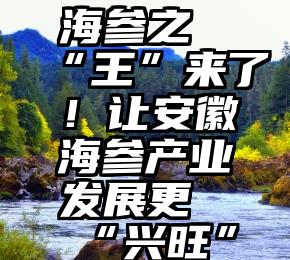 海参之“王”来了！让安徽海参产业发展更“兴旺”