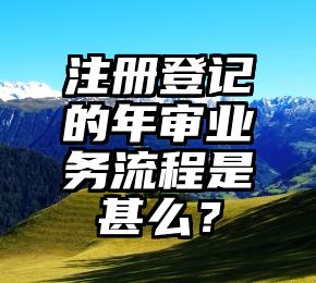 注册登记的年审业务流程是甚么？