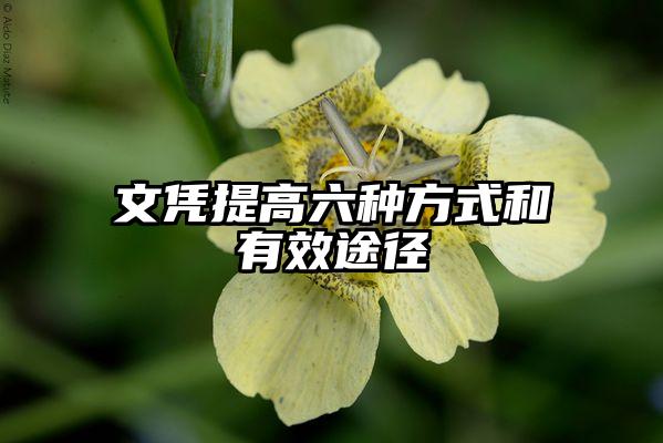 文凭提高六种方式和有效途径