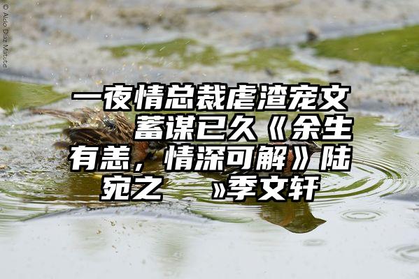 一夜情总裁虐渣宠文?蓄谋已久《余生有恙，情深可解》陆宛之?季文轩