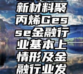 品牌化工新材料聚丙烯Gesse金融行业基本上情形及金融行业发展趋势