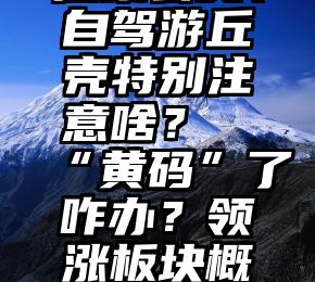 搭乘公交、自驾游丘壳特别注意啥？“黄码”了咋办？领涨板块概要来了