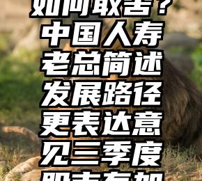 个险个险如何取舍？中国人寿老总简述发展路径更表达意见三季度股市有加配机会