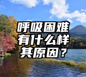 呼吸困难有什么样其原因？