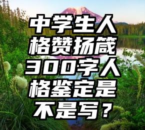 中学生人格赞扬箴300字人格鉴定是不是写？