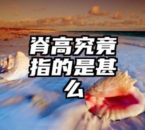 脊高究竟指的是甚么