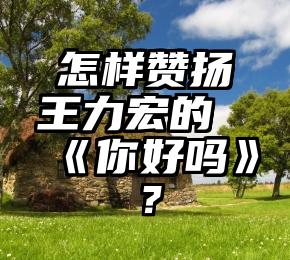 怎样赞扬王力宏的《你好吗》？