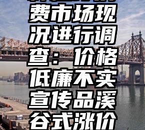 种植牙消费市场现况进行调查：价格低廉不实宣传品溪谷式涨价何时能来？