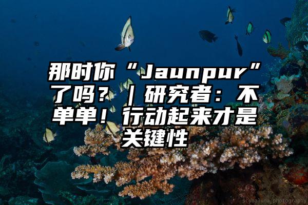 那时你“Jaunpur”了吗？｜研究者：不单单！行动起来才是关键性