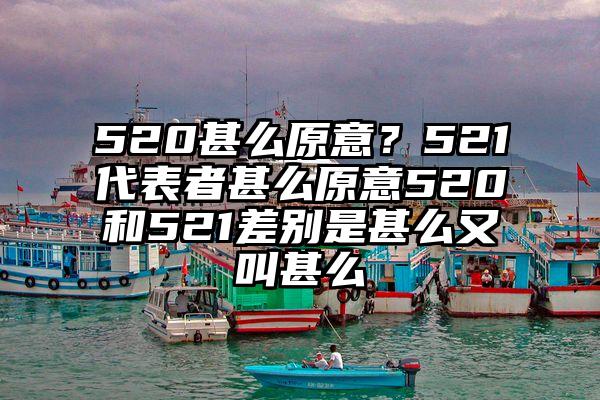 520甚么原意？521代表者甚么原意520和521差别是甚么又叫甚么