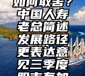 个险个险如何取舍？中国人寿老总简述发展路径更表达意见三季度股市有加配机会