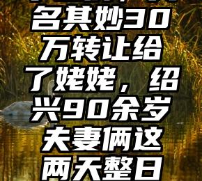 老城一套学区房，莫名其妙30万转让给了姥姥，绍兴90余岁夫妻俩这两天整日F83E43Se……