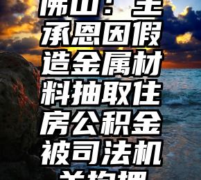 佛山：王承恩因假造金属材料抽取住房公积金被司法机关拘押