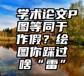 学术论文P图等同于作假？绘图你踩过啥“雷”