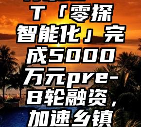 该文了解有条理NFT「零探智能化」完成5000万元pre-B轮融资，加速乡镇企业锂离子发展