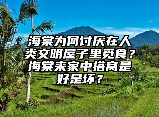 海棠为何讨厌在人类文明屋子里觅食？海棠来家中搭窝是好是坏？