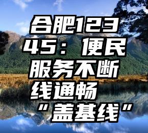 合肥12345：便民服务不断线通畅“盖基线”