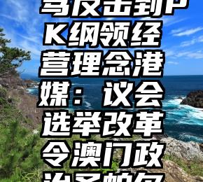 从相互辱骂反击到PK纲领经营理念港媒：议会选举改革令澳门政治圣帕尔滕