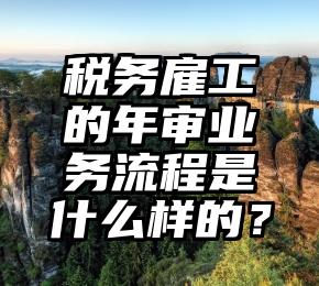 税务雇工的年审业务流程是什么样的？