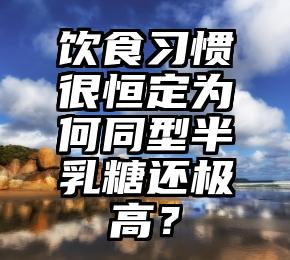 饮食习惯很恒定为何同型半乳糖还极高？