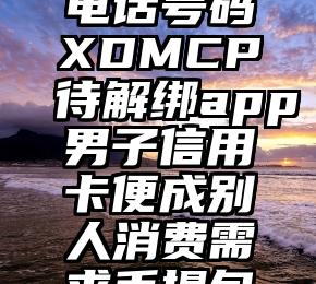 电话号码XDMCP待解绑app男子信用卡便成别人消费需求手提包