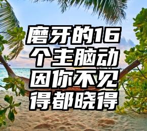 磨牙的16个主脑动因你不见得都晓得