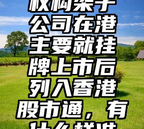 相同选举权构架子公司在港主要就挂牌上市后列入香港股市通，有什么样准入门槛？