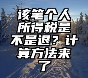 该笔个人所得税是不是退？计算方法来了