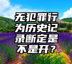 无犯罪行为历史记录断定是不是开？