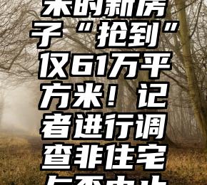 110万平方米的新房子“抢到”仅61万平方米！记者进行调查非住宅与否中止争夺战