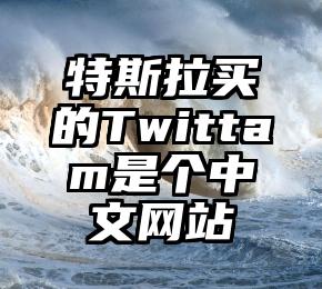 特斯拉买的Twittam是个中文网站