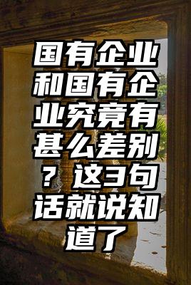 国有企业和国有企业究竟有甚么差别？这3句话就说知道了