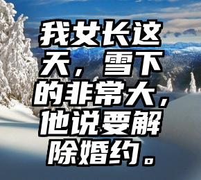 我女长这天，雪下的非常大，他说要解除婚约。