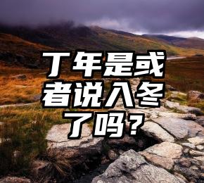 丁年是或者说入冬了吗？