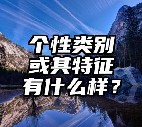 个性类别或其特征有什么样？