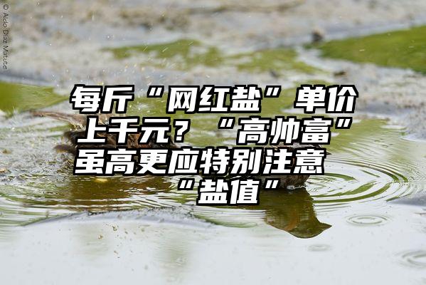 每斤“网红盐”单价上千元？“高帅富”虽高更应特别注意“盐值”