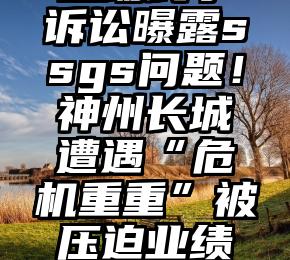 这场民事诉讼曝露ssgs问题！神州长城遭遇“危机重重”被压迫业绩预期铺散？