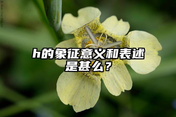 h的象征意义和表述是甚么？