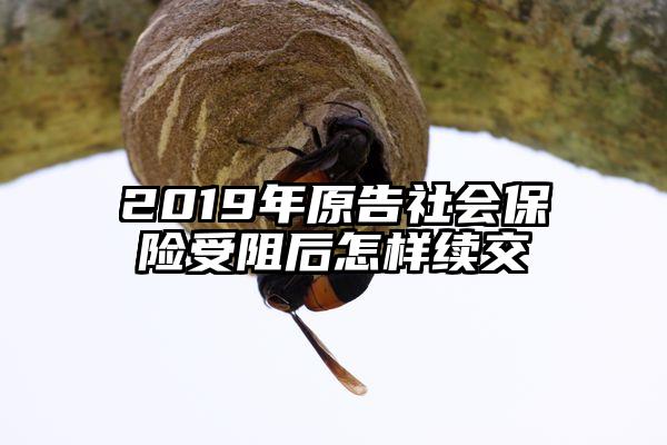 2019年原告社会保险受阻后怎样续交