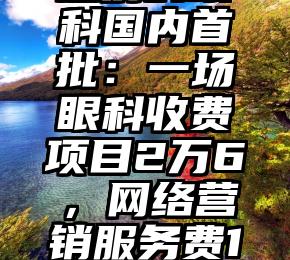 感伤的眼科国内首批：一场眼科收费项目2万6，网络营销服务费1万5