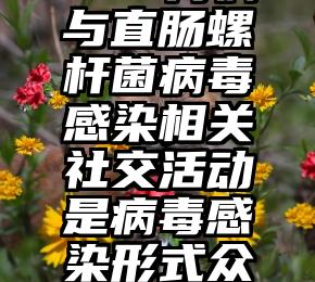 70%胃病与直肠螺杆菌病毒感染相关社交活动是病毒感染形式众所周知