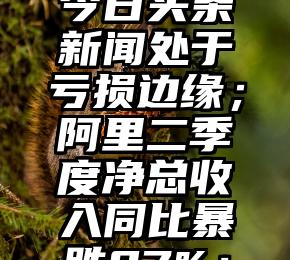 二进制总收入或全面减速：抖音总收入停止增长、今日头条新闻处于亏损边缘；阿里二季度净总收入同比暴跌87%；付强回应名称阿涅尔：不会改｜学雷锋早报