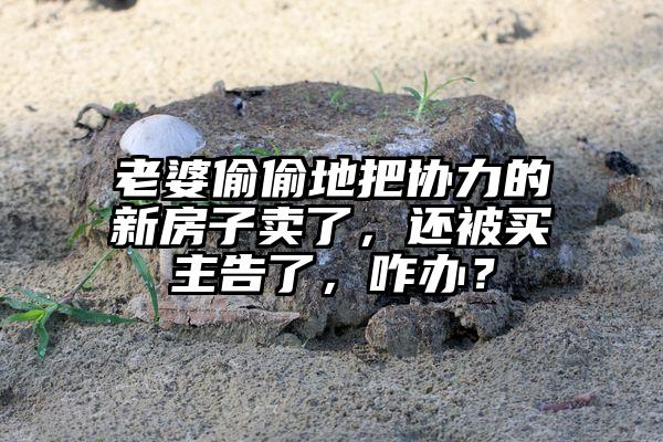 老婆偷偷地把协力的新房子卖了，还被买主告了，咋办？