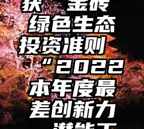 交通银行获“金砖”绿色生态投资准则“2022本年度最差创新力—潜能工程建设奖”