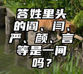 答姓里头的阎、闫、严、颜、言等是一间吗？